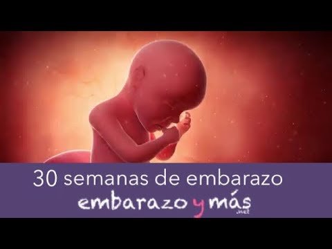 embarazo 30 semanas