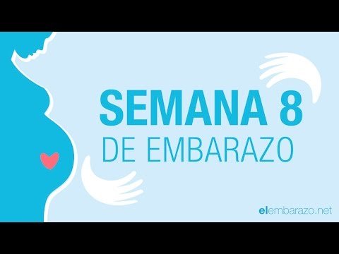 embarazo 8 semanas barriga